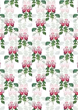 Seven Sisters Rose Pattern