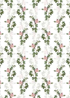 Big Flowered Dog Rose