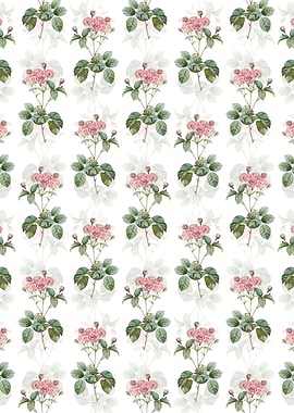Pink Rosebush Pattern