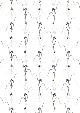 Floral Barbary Nut Pattern