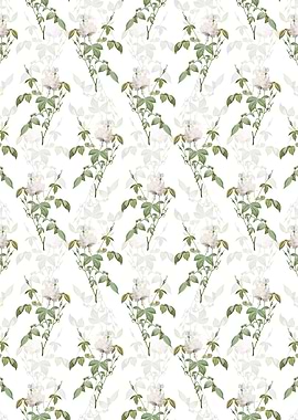 White Bengal Rose Pattern