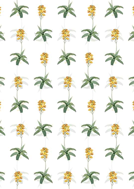 Floral Sun Star Pattern