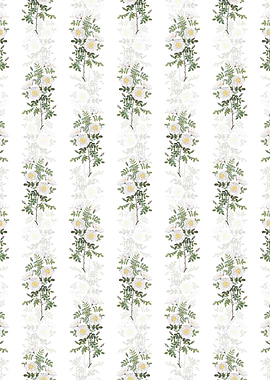 White Burnet Roses Pattern