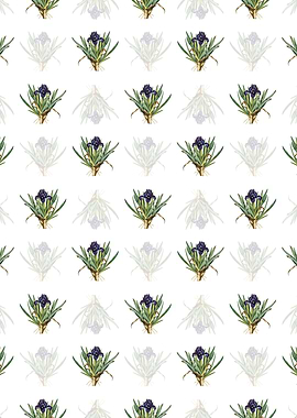 Floral Pygmy Iris Pattern