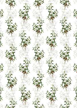 Alabama Dahoon Branch