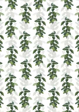 Broadleaf Spindle Pattern