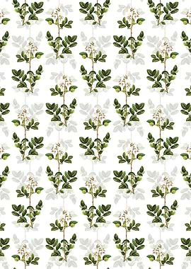 Andromeda Mariana Branch