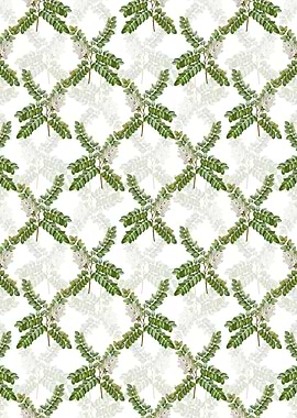 Clammy Locust Pattern