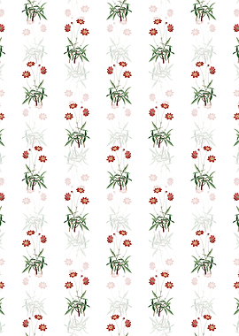 White Cosmos Flower Branch