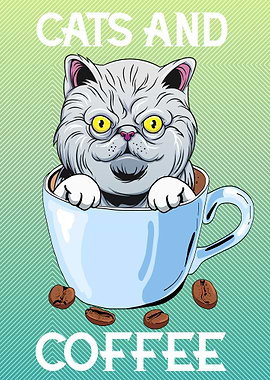 Exotic Shorthair Cat