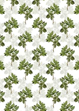 White Eastern Leatherwood