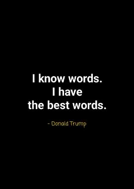 Donald Trump quotes