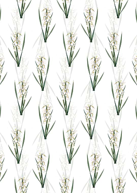 Yellow Banded Iris Pattern