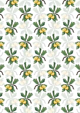 Floral Hawthorne Pattern
