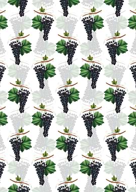Berzemina Grape Pattern