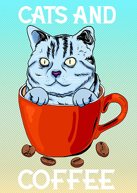 American Shorthair Cat