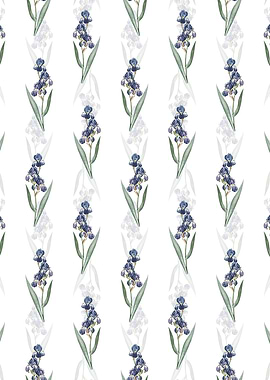 Dalmatian Iris Pattern