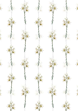 White Madonna Lily Pattern