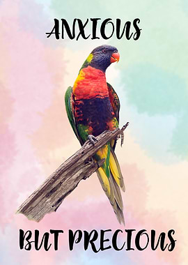 Rainbow Lorikeet