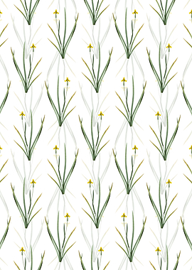 Iris Martinicensis Pattern