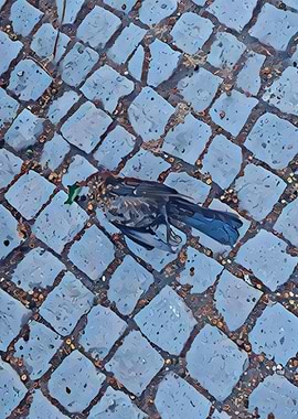 Dead bird