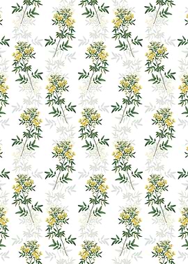 Argentine Senna Pattern