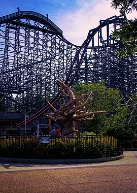 Twisted Timbers First Drop