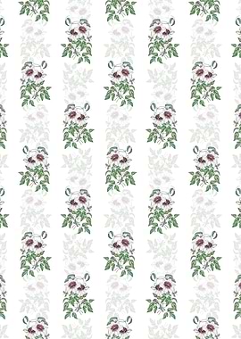 Siebalds Clematis Pattern