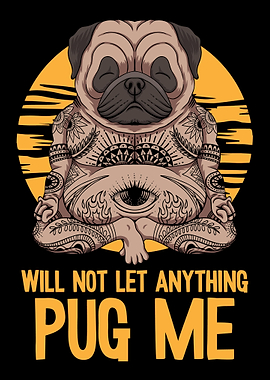 Yoga Instructor Yogi Zen