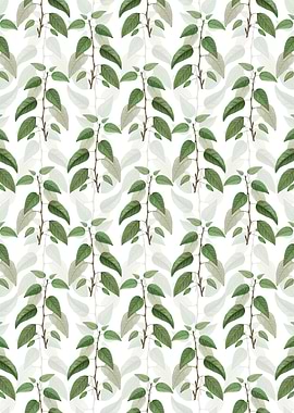 White Balsam Poplar Leaves