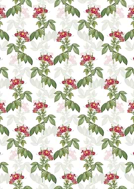 Boursault Rose Pattern