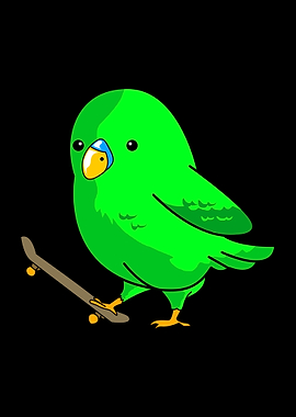 Budgie Skateboarding