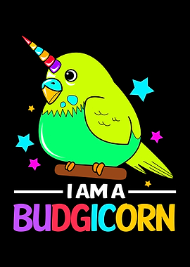 Budgie Unicorn Budgicorn