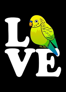 Budgie Love Parakeet