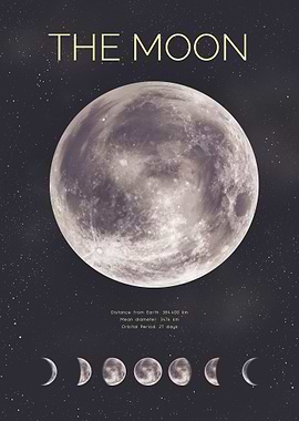 Moon Phases