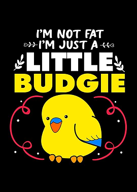 Budgie Fat Little Parakeet