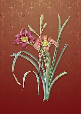 Vintage Orange Day Lily