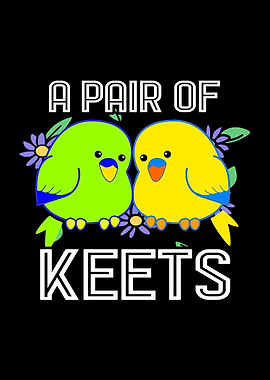 Budgie Couple Pair Bird