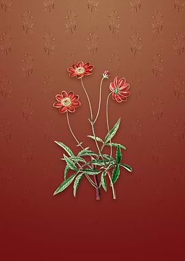 Vintage Cosmos Flower