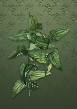 Vintage Common Smilax