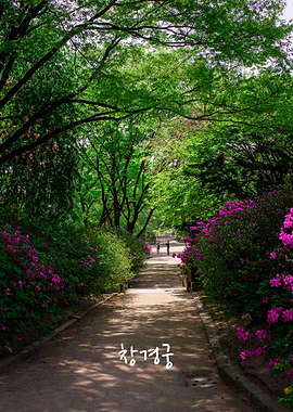 Changgyeonggung park I
