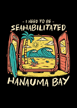 Hanauma Bay Beach Summer