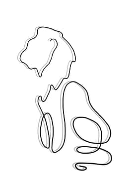Lion line art