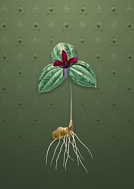 Tri Flower on Lunar Green