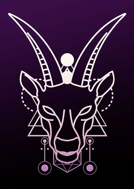 Zodiac capricorn stars