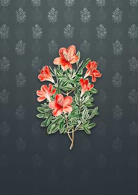 Brick Red Chinese Azalea