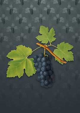 San Columbano Grapes