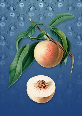 Peach on Bahama Blue