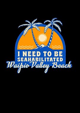 Waipio Valley Beach Summer