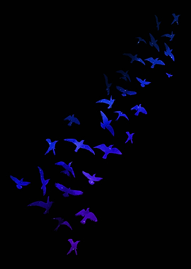Beautiful flock of birds